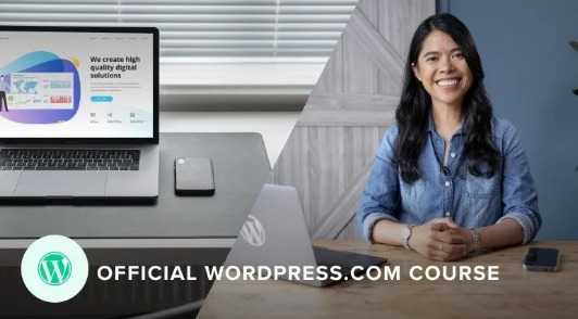build a professional website with wordpress